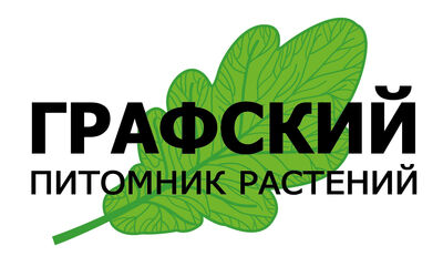http://grafski.ru/